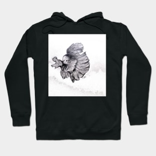 Betta Fish Sketch Hoodie